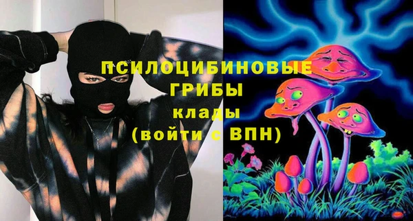 каннабис Каменногорск